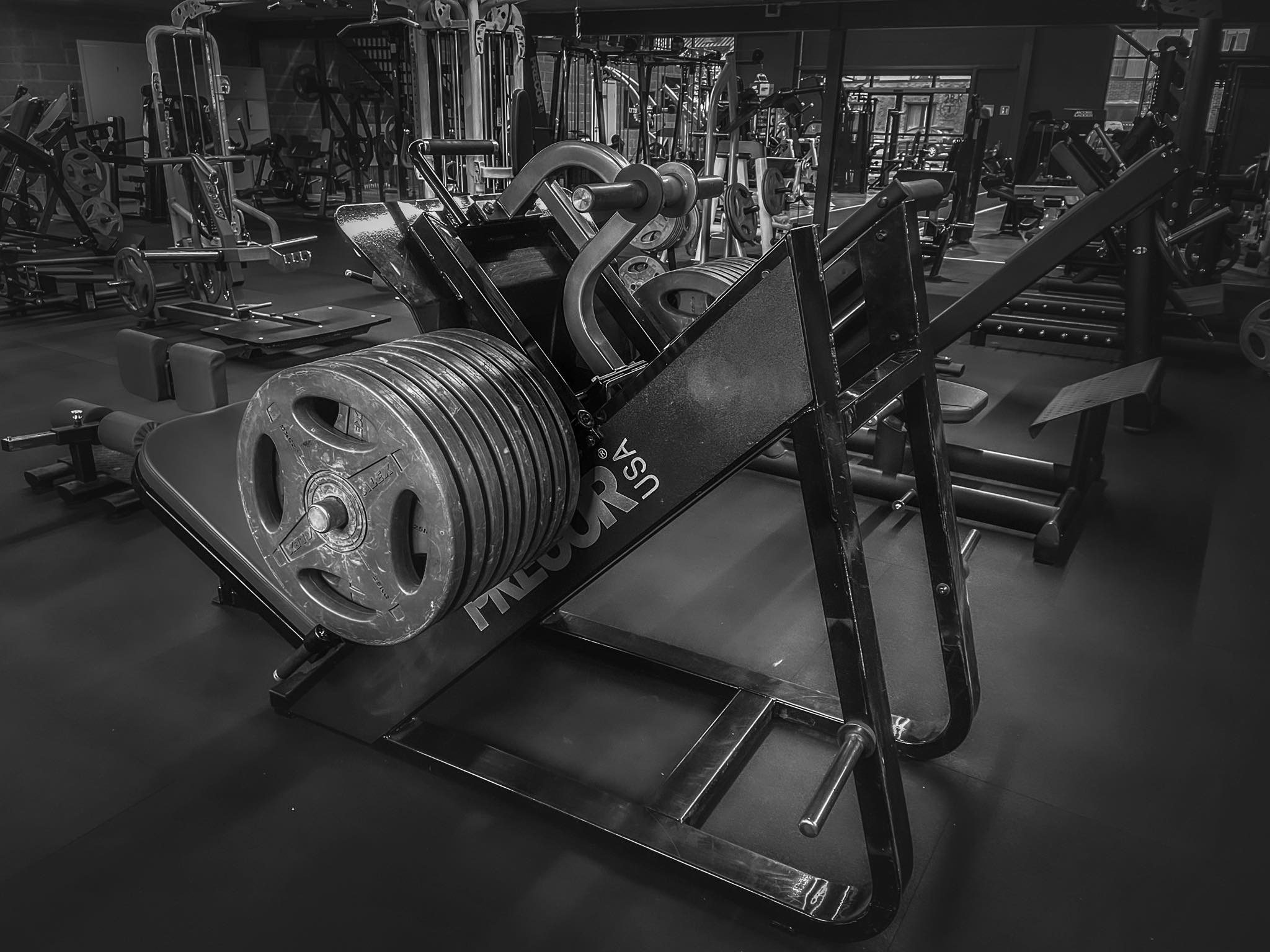 Gymgolv på Fitness Force — bred bild i svartvitt